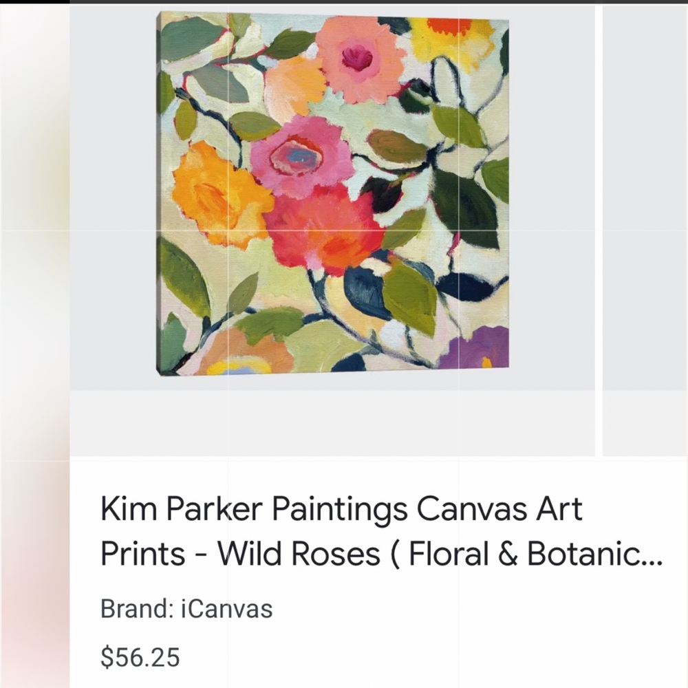 - Kim Parker Wild Roses Canvas Art Print Picture wall hanging 16x16